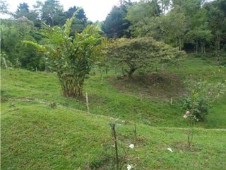 Foto 7 de VENDE EXCELENTE FINCA EN BUGA VEREDA MIRAFLORES