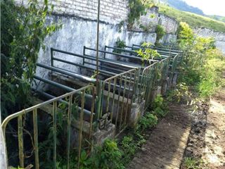 Foto 20 de VENDE EXCELENTE FINCA EN BUGA VEREDA MIRAFLORES