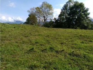 Foto 12 de VENDE EXCELENTE FINCA EN BUGA VEREDA MIRAFLORES