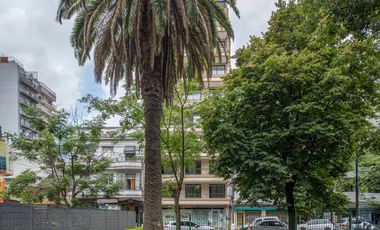 place photo 34