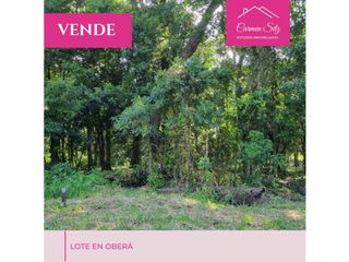 Foto 9 de Terrenos a la venta frente a las Termas en Oberá