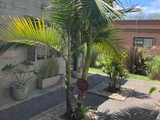 Foto 2 de ALQUILER - CASA SANTA GUADALUPE - PILAR DEL ESTE