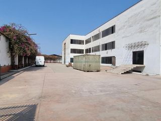 Foto 39 de Terrenos Industriales Venta AV. Universitaria - LIMA CERCADO