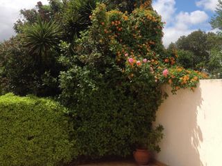 Foto 41 de Casa en venta Temperley