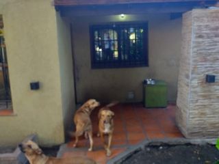 Foto 2 de Casa en venta en Don Torcuato