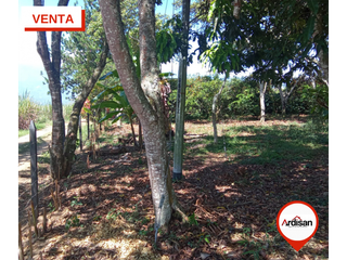 Foto 17 de LINDA FINCA CAMPESTRE DE 11.224Mts a 20 Minutos del Socorro!!!