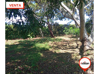 Foto 16 de LINDA FINCA CAMPESTRE DE 11.224Mts a 20 Minutos del Socorro!!!
