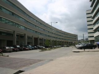 Oficina Comercial Alquiler o Venta de 540 m2 Parque Empresarial Colon