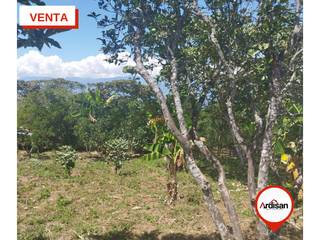 Foto 12 de SOCORRO -  VENTA -  PARCELA  PLANA  4000m2   LINDA  CASA