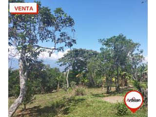 Foto 15 de SOCORRO -  VENTA -  PARCELA  PLANA  4000m2   LINDA  CASA