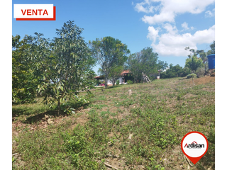 Foto 14 de SOCORRO -  VENTA -  PARCELA  PLANA  4000m2   LINDA  CASA