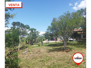Foto 17 de SOCORRO -  VENTA -  PARCELA  PLANA  4000m2   LINDA  CASA