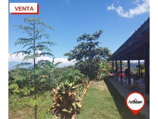 Foto 11 de SOCORRO -  VENTA -  PARCELA  PLANA  4000m2   LINDA  CASA