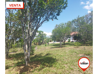 Foto 16 de SOCORRO -  VENTA -  PARCELA  PLANA  4000m2   LINDA  CASA
