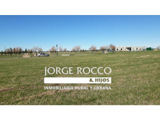 Foto 2 de Lote en Haras del Sur 3