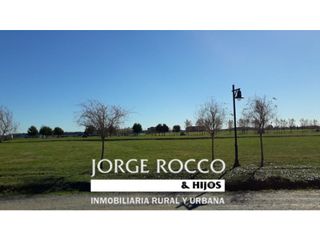 Foto 7 de Lote en Haras del Sur 3