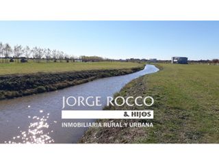 Foto 1 de Lote en Haras del Sur 3