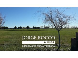 Foto 4 de Lote en Haras del Sur 3