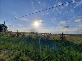 Foto 13 de VENTA-LOTE SINSACATE-2060M2 CAMINO REAL
