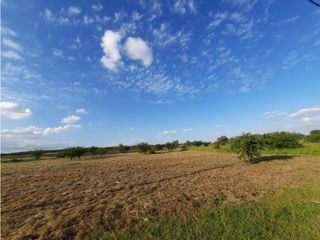 Foto 9 de VENTA-LOTE SINSACATE-2060M2 CAMINO REAL
