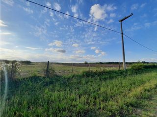 Foto 14 de VENTA-LOTE SINSACATE-2060M2 CAMINO REAL