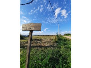 Foto 4 de VENTA-LOTE SINSACATE-2060M2 CAMINO REAL