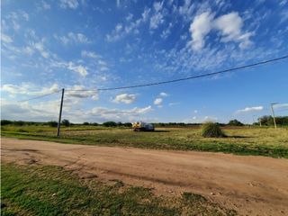 Foto 7 de VENTA-LOTE SINSACATE-2060M2 CAMINO REAL
