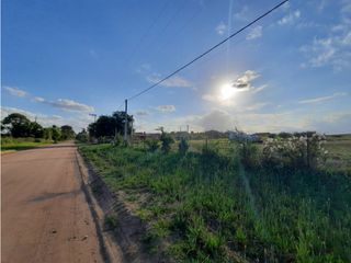 Foto 15 de VENTA-LOTE SINSACATE-2060M2 CAMINO REAL