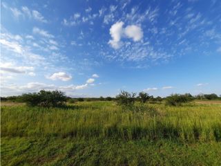 Foto 3 de VENTA-LOTE SINSACATE-2060M2 CAMINO REAL