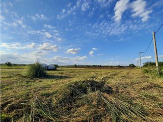 Foto 5 de VENTA-LOTE SINSACATE-2060M2 CAMINO REAL