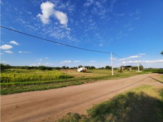 Foto 8 de VENTA-LOTE SINSACATE-2060M2 CAMINO REAL