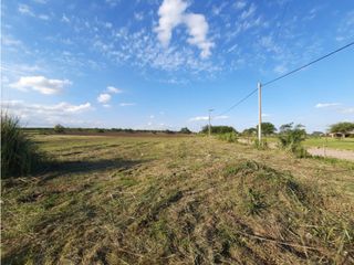 Foto 6 de VENTA-LOTE SINSACATE-2060M2 CAMINO REAL