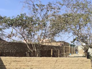 Foto 1 de ‼️ POR EL MISMO PRECIO COMPRARIAS:? 1 LOTE DENTRO DEL CONDOMINIO O 3 LOTES DETRAS DEL CONDOMINIO

Terreno urbano  de 294.8 m2 Ubicado en el AAHH Ram