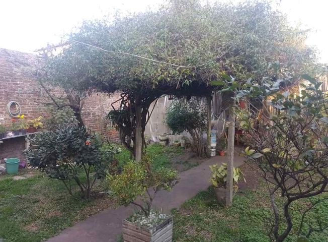 place photo 20