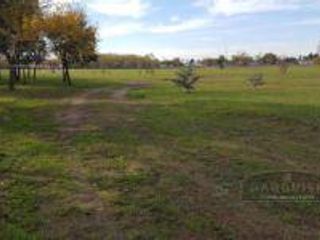 Foto 2 de Terreno - Longchamps