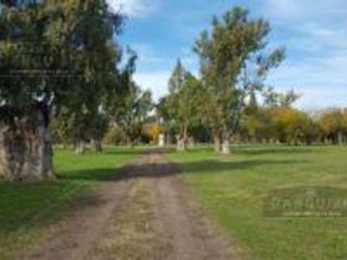 Foto 4 de Terreno - Longchamps