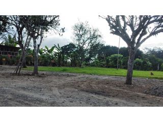 Se vende hermosa Finca en Santo Domingo 18.000 la hectarea