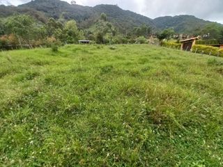 Foto 7 de lote en arriendo en vereda iscala chinacota. Cod A11271