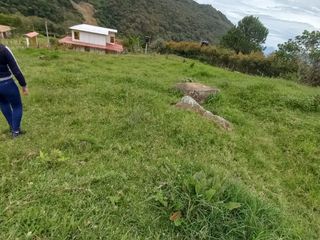 Foto 8 de lote en arriendo en vereda iscala chinacota. Cod A11271