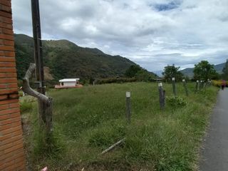 Foto 3 de lote en arriendo en vereda iscala chinacota. Cod A11271
