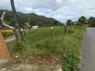 Foto 4 de lote en arriendo en vereda iscala chinacota. Cod A11271