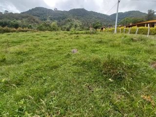 Foto 9 de lote en arriendo en vereda iscala chinacota. Cod A11271