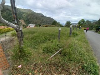 Foto 5 de lote en arriendo en vereda iscala chinacota. Cod A11271
