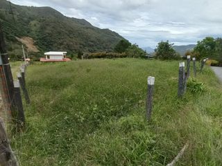 Foto 6 de lote en arriendo en vereda iscala chinacota. Cod A11271