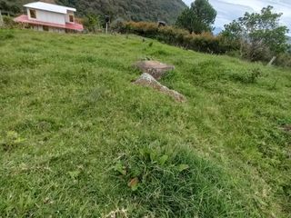 Foto 10 de lote en arriendo en vereda iscala chinacota. Cod A11271