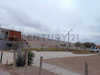 Foto 9 de URB. EL OLIVAR - TERRENO EN VENTA