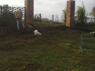 Foto 1 de lote en venta en vereda la peña. Cod V12483