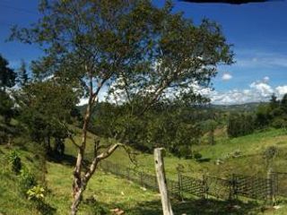 Foto 8 de lote en venta en vereda la peña. Cod V12483
