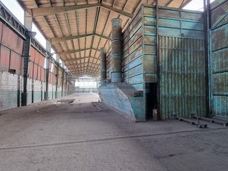 Foto 9 de Terrenos Industriales Venta AV. Industrial  - LIMA CERCADO
