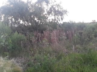 Foto 1 de VENDO TERRENO EN APÓSTOLES MISIONES